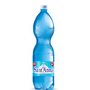 Sant’Anna 1,5 L Gassata pet (6 bottiglie)