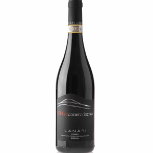 Fibbio Rosso Conero DOCG Riserva 2020 cant. Lanari 75 cl