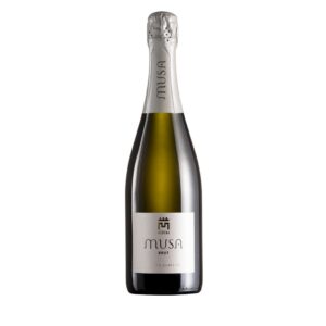 ” Musa ” Verdicchio DOC spumante metodo classico 2022 75 cl Cant. Colognola